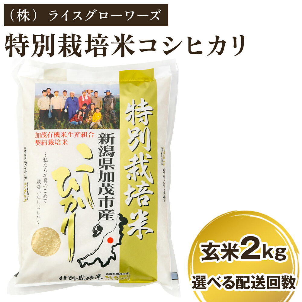 【ふるさと納税】【令和8年産新米先行予約】新潟県加茂市産 特別栽培米コシヒカリ 玄米2kg 選べる配送回数（通常配送1回〜定期便12回）《10月上旬～順次出荷》 従来品種コシヒカリ （株）ライスグローワーズ