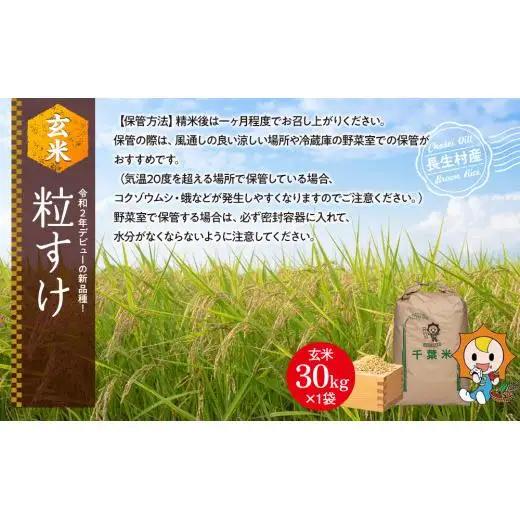 H04-B02 粒すけ（玄米30kg）令和8年産