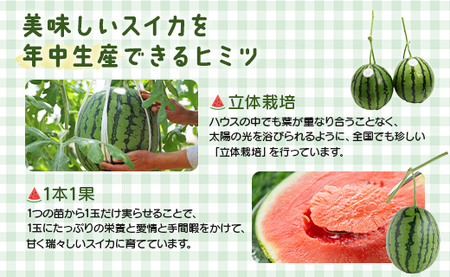 【7月発送】スイカ 小玉 約4kg 糖度13～14前後 2玉【スイカ スイカ スイカ スイカ スイカ スイカ】 em-0032