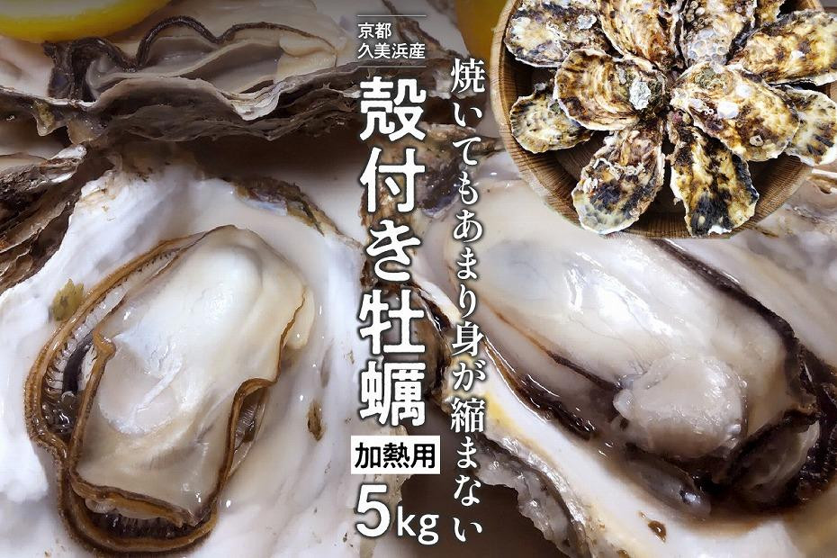 
京都・久美浜産　殻付き牡蠣　5kg（50個前後）【加熱用】牡蠣ナイフ付　人気 国産 正規品 大粒 肉厚 養殖牡蠣 贈り物 ふるさと 納税 牡蠣 牡蛎 ふるさと 納税 かき カキ 海鮮 貝 牡蠣 海のミルク　MN00053
