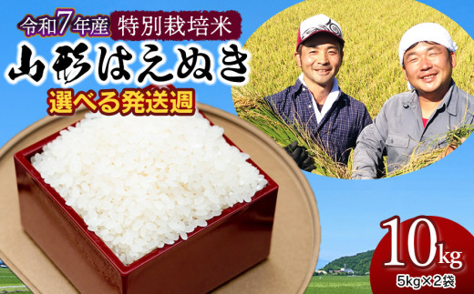 【令和7年産先行予約・発送時期12/15～12/21】特別栽培米 山形はえぬき 精米10kg(5kg×2袋)　山形県鶴岡市産　鶴岡ファーマーズ