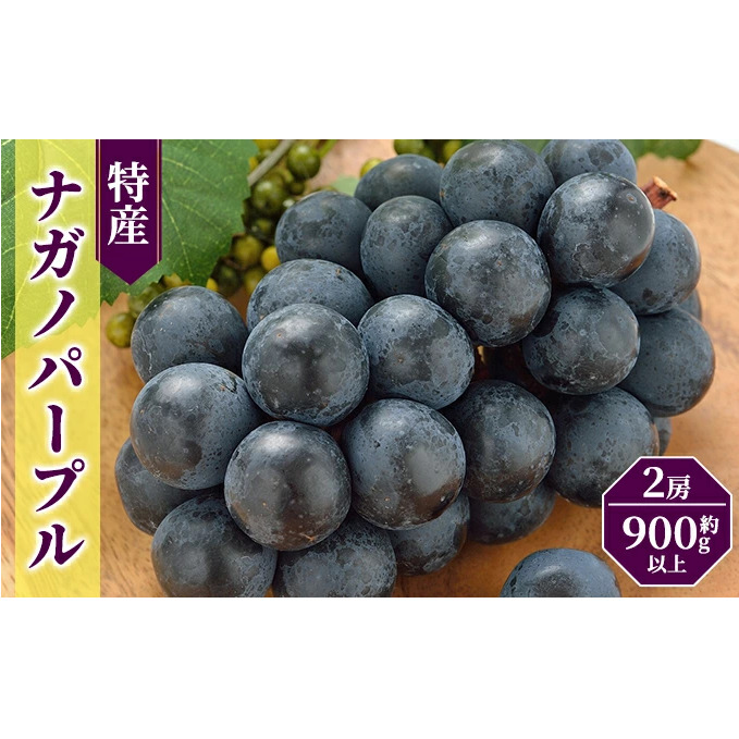JA信州うえだ「特産 ナガノパープル」2房（約900g以上）