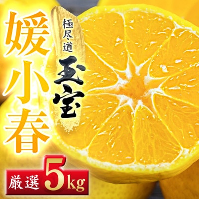 【愛媛名産】玉宝媛小春(ひめこはる)　5kg【H64−87】【1623970】