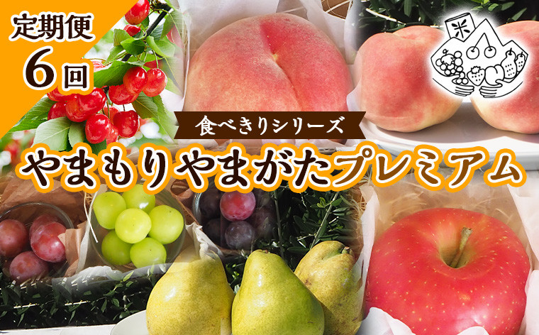 
【定期便6回】★食べきりシリーズ★やまもりやまがたプレミアム 【令和6年産先行予約】FS23-735
