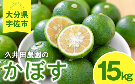 かぼす(15kg)柑橘 かんきつ 大分県産直 期間限定【112600300】【ａｎｄＫ】