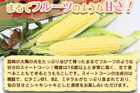 期間限定！予約受付！＜宮崎県産 スイートコーン 約4.5kg＞2024年5月下旬～6月中旬迄に順次出荷【 先行予約 穀物 野菜 甘い 季節限定 とうもろこし おやつ ご飯 スープ サラダ BBQ 屋台