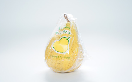 ル レクチエ 4kg (7～12個) 令和7年度 洋梨 新潟県産 ル・レクチェ 洋梨の貴婦人 【019S025】