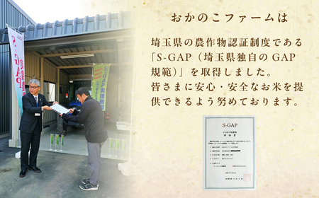 米 にじのきらめき 5kg 米 久喜市 埼玉県 