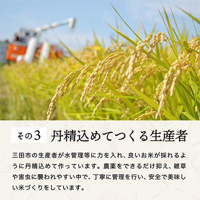 ふるさと納税 三田市 【令和7年産】三田米コシヒカリ　精米　10kg(5kg×2袋) |  | 03
