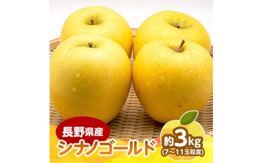 ＜発送月固定定期便＞信州人気のフルーツ(シナノゴールド・いちご)セット全2回【4085523】
