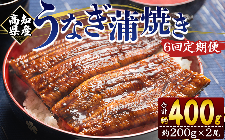 【６回定期便】高知県産養殖うなぎ蒲焼き 約200g×2尾 Wfb-0051