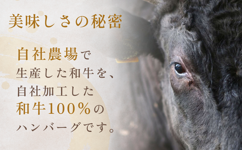 黒毛和牛 三陸金華和牛 南部の赤牛 伊達の赤 和牛ハンバー