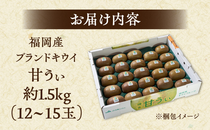 キウイ フルーツ 果物 キウイフルーツ