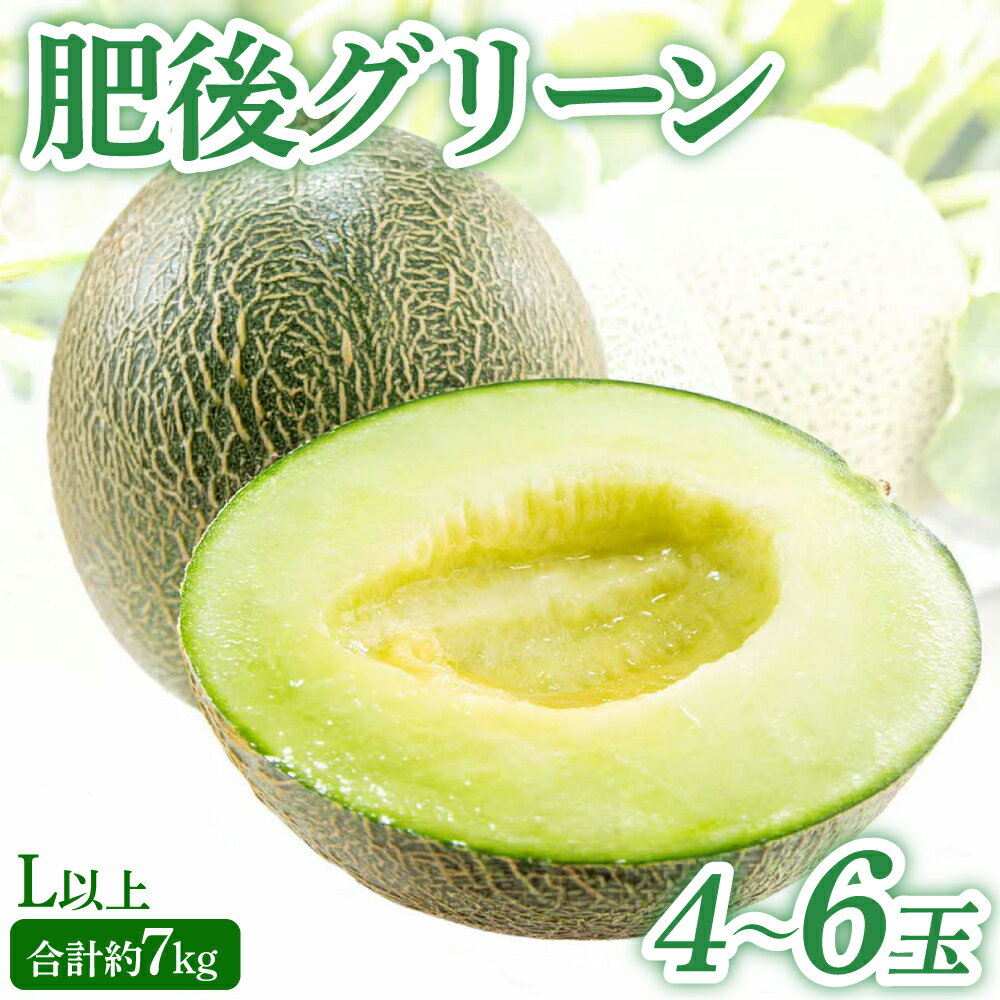 【ふるさと納税】 【先行予約】 熊本県八代市産 肥後グリーンメロン L以上 4～6玉 約7kg 青肉メロン 果物 くだもの フルーツ デザート メロン 肥後グリーン 熊本メロン ジューシー 旬 お取り寄せ 贈り物 ギフト 送料無料 【2026年5月上旬より順次発送】