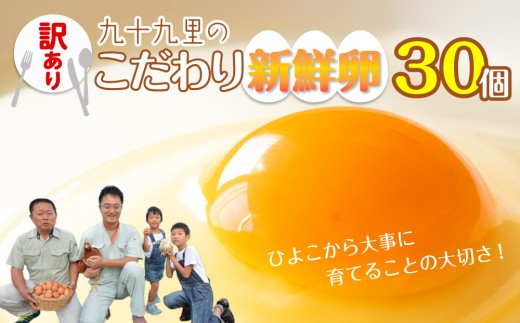 《訳あり》九十九里ファームこだわりたまご 30個～あおい海・みどりの里～（赤玉or白玉） ／ たまご 卵 玉子 タマゴ 30個 卵かけご飯 新鮮 旨み 甘み 贈答用 贈答 ギフト 贈り物 訳あり 訳アリ 千葉県 匝瑳市 送料無料