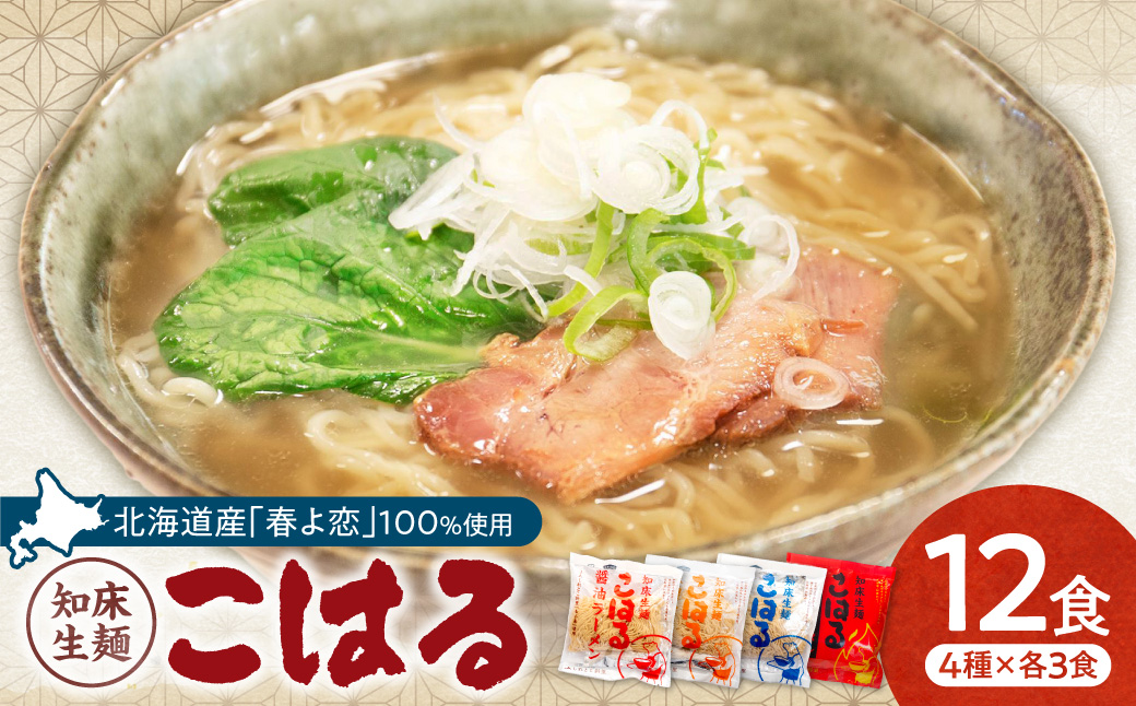 生麺「こはる」12食(4種×3食ずつ)セット【配送不可地域：離島・沖縄県】_ss03-011