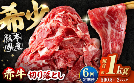 【全6回定期便】 赤牛 切り落とし 1kg（500g×2パック） /  牛肉 切り落とし 熊本県産 冷凍[AYBV009]
