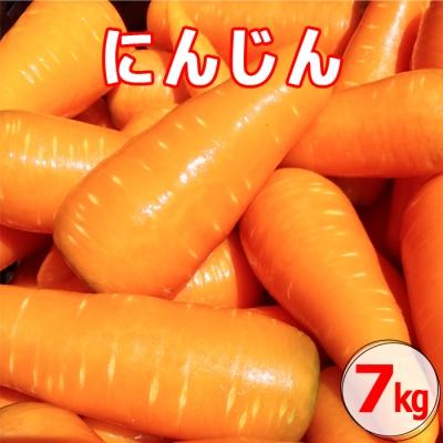 ふるさと納税 薩摩川内市 鹿児島にんじん『愛紅』7kg　ZS-959