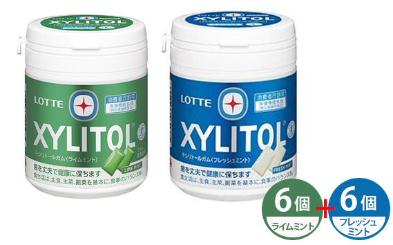 ロッテ キシリトールガム ライムミント フレッシュミント 12個セット | ガム キシリトール ライム ミント お菓子 おやつ 特定保健用食品 LOTTE 株式会社ロッテ 埼玉県 狭山市