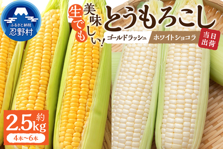 【2026年先行予約】富士北麓忍野村の気候、水、自然で作られた朝採りトウモロコシ（ゴールドラッシュ・ホワイトショコラ）詰め合わせセット（約2.5kg）