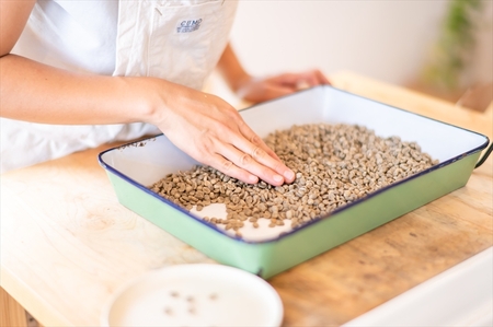 自家焙煎珈琲　ARI SAN COFFEE　200ｇ×３種類（豆）　こだわりの豆（無農薬、減農薬、無化学肥料、オーガニックなど）　直火焙煎【 長野県 佐久市 】