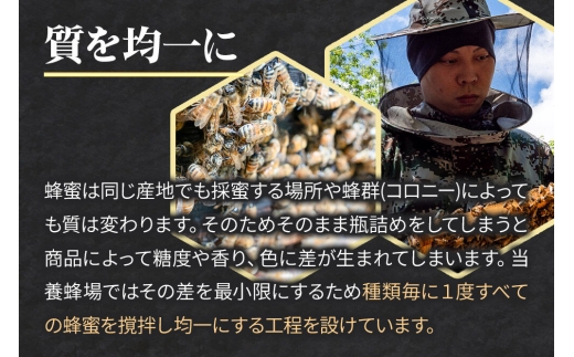 はちみつ 天然十和田 アカシア蜂蜜 1200g ポリ缶 [国産 蜂蜜 はちみつ ハチミツ アカシア 朝食 沢田養蜂場]