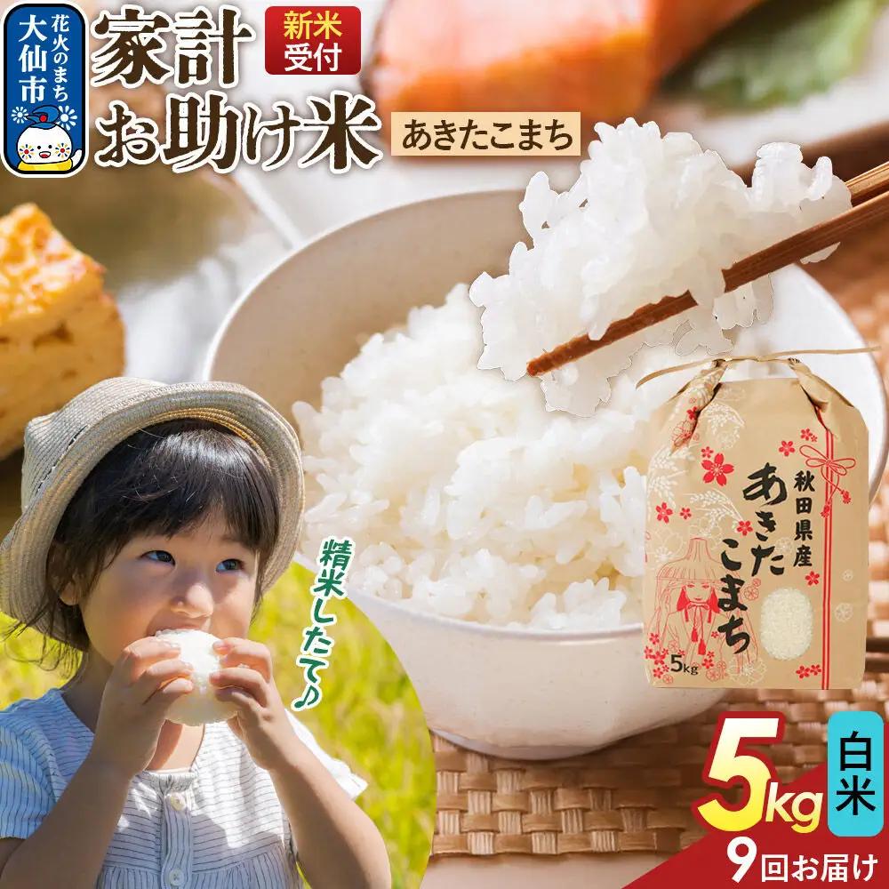 《令和8年産新米予約》 《定期便9ヶ月》【白米】家計お助け米 あきたこまち 5kg 秋田県産  こまちライン 秋田県 大仙市産