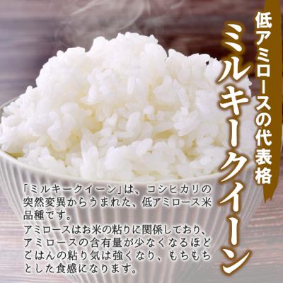 ふるさと納税 東白川村 東白川村産 ミルキークイーン 白米 お試し 2合 300g |  | 01