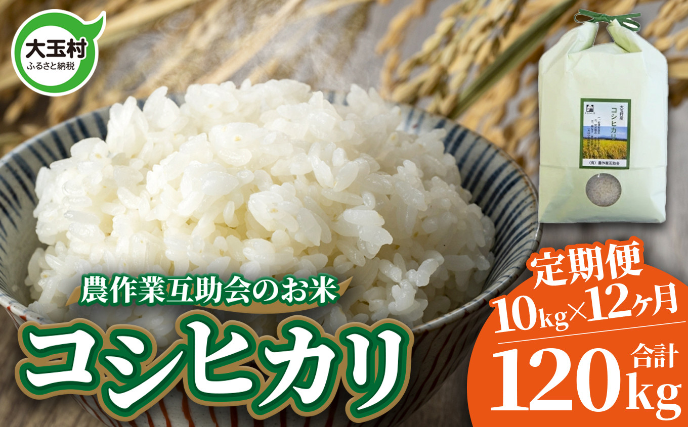 
            米 定期便 コシヒカリ 120kg ( 10kg × 12ヶ月 ) 福島県 大玉村 農作業互助会  ｜ こしひかり 精米 白米 こめ ごはん 定期 12回 コメ ｜ gj-kh10-t12-R6
          