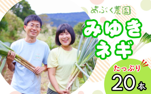 【先行予約】白ねぎ みゆきネギ ２０本【期間限定】(7-A11)