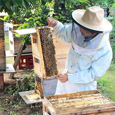 ふるさと納税 五霞町 月毎に楽しむ田舎はちみつ無添加天然生はちみつ2種セット(五霞町産) |  | 02