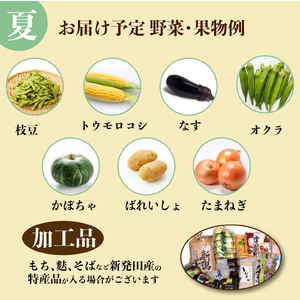 【5月開始】 野菜定期便 年4回 8～12種類 数量限定 野菜定期便 詰め合わせ 旬 野菜BOX 詰め合わせ 野菜定期便 野菜定期便 せいだ seida011