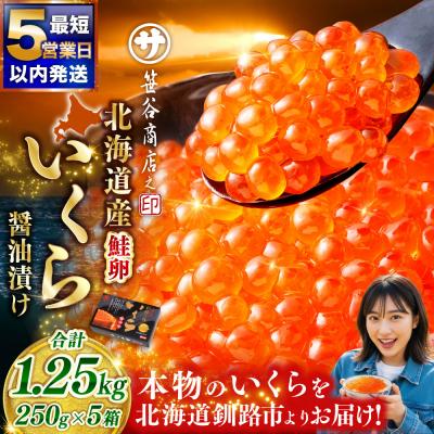 ふるさと納税 釧路市 【5営業日以内発送】北海道産 いくら 250g×5箱 1.25kg