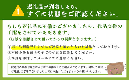 【先行予約】ぶどう 種無し巨峰 2房｜ぶどう ぶどう ぶどう ぶどう ぶどう