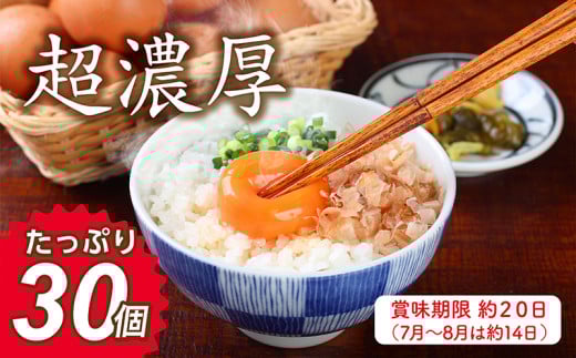 【7月お届け】ミネラルを豊富に含んだ越前赤玉子30個（27個＋卵割れ補償3個）
