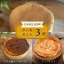 【ふるさと納税】3種のケーキセット（チーズスフレ・バスク風チーズケーキ・アップルパイ） 【 ふるさと納税 人気 おすすめ ランキング アップルパイ バスク風 チーズケーキ チーズスフレ 甘い 美味しい 北海道 佐呂間町 送料無料 】 SRMJ024