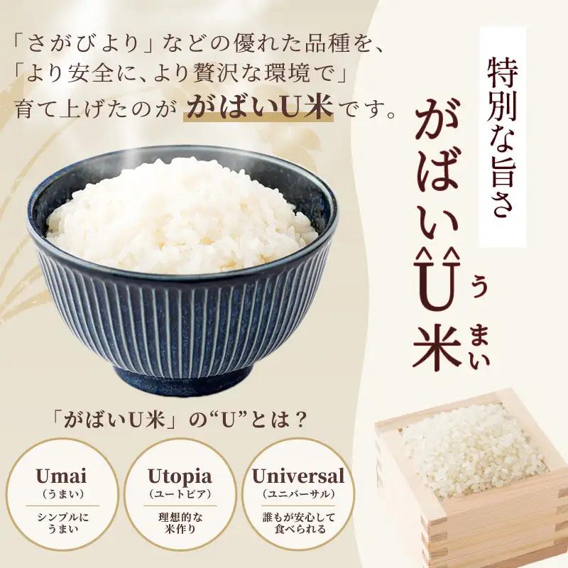 無洗米 訳あり がばいU米 令和7年産 佐賀県産 無洗米【10kg(5kg×2袋)】【定期便 3ヶ月】