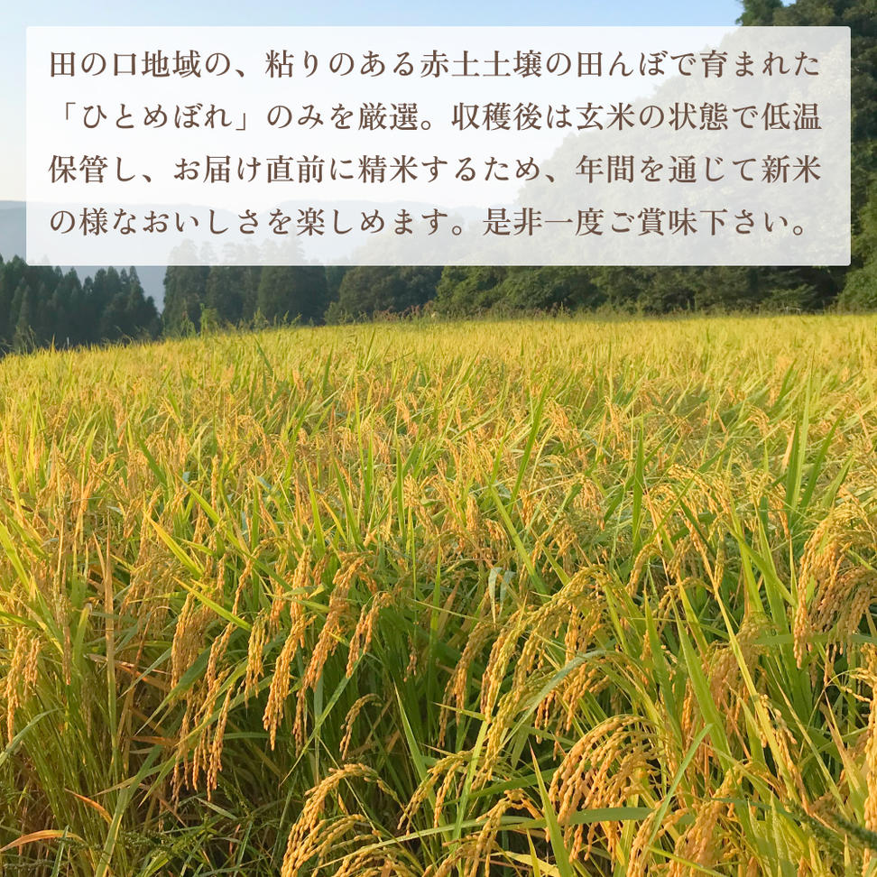玖珠の献穀米５kg 米 ひとめぼれ 大分県 玖珠町 こめ お米 