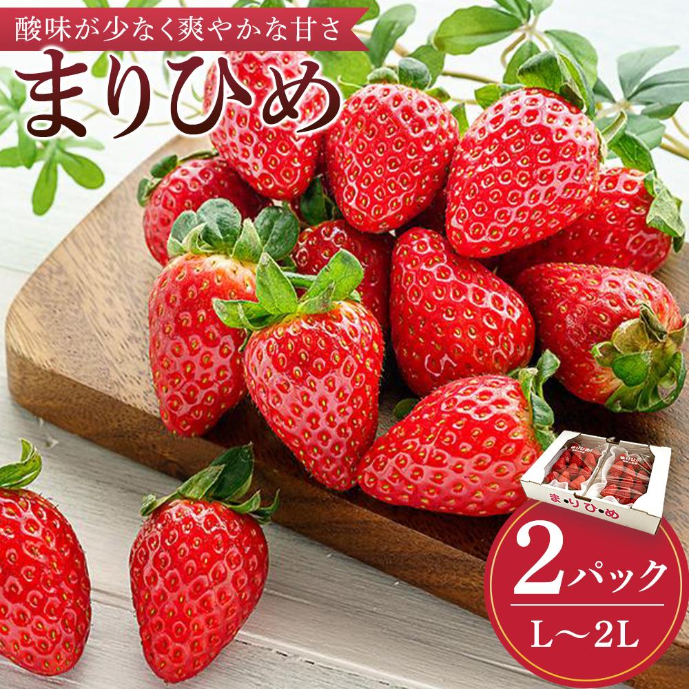 【ふるさと納税】まりひめイチゴ L～2L 12粒～15粒×2パック［2027年1月中旬から発送］［先行販売］［KG7］ | 苺 イチゴ いちご フルーツ 果物 くだもの 食品 人気 おすすめ 送料無料