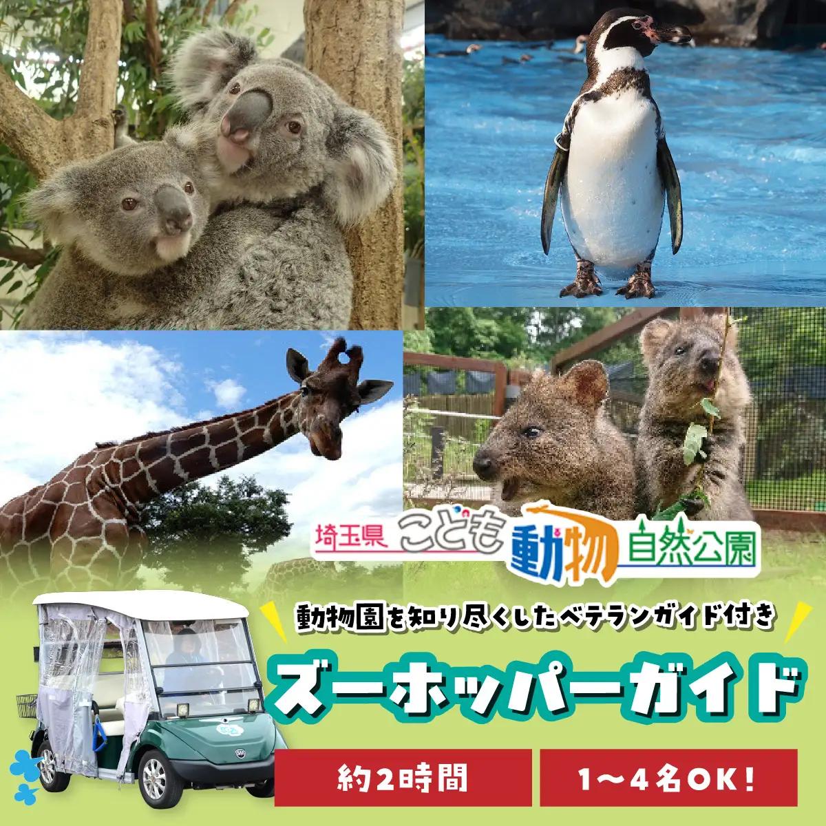 埼玉県こども動物自然公園 ズーホッパーガイド利用券 | 動物園 裏側 見学自然体験 アクティビティ 埼玉県 東松山市