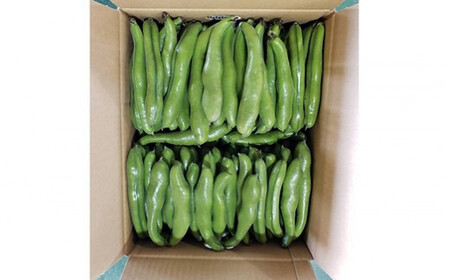＜先行予約！2027年5月上旬以降順次発送予定＞そらまめ (約4kg) 豆 ソラマメ 野菜 【man071-B】【Aglio nero】