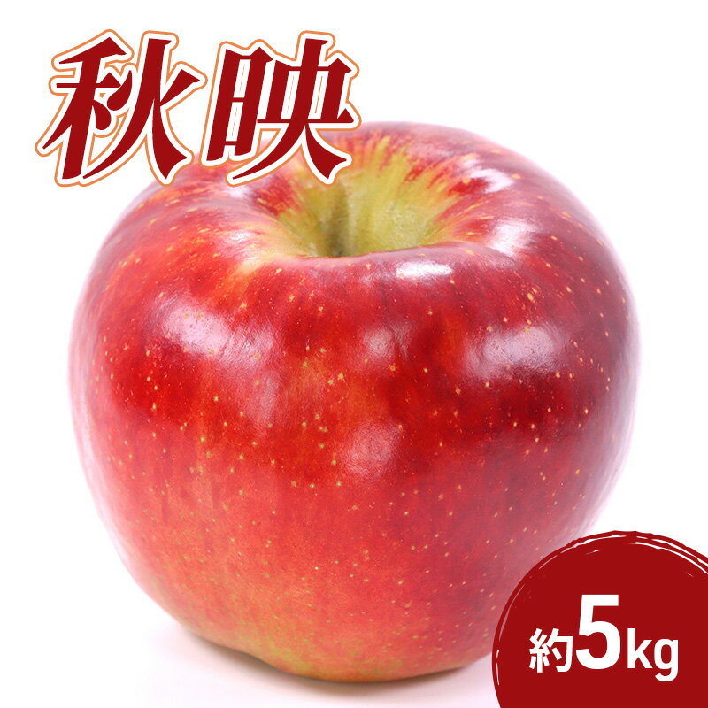 【ふるさと納税】秋映 5kg 果物 フルーツ りんご 長野県　お届け：2026年11月上旬～11月下旬