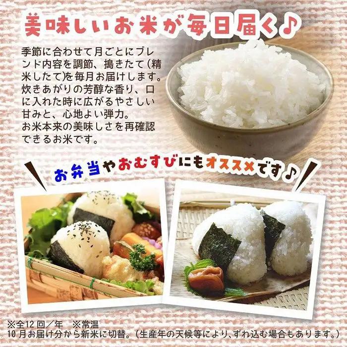 定期便 5kg×12ヶ月　五ツ星お米マイスター特選米（鳥取県産） 米