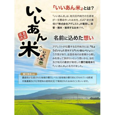 ふるさと納税 酒田市 【毎月定期便】「いいあん米」はえぬき無洗米5kg全3回 |  | 01