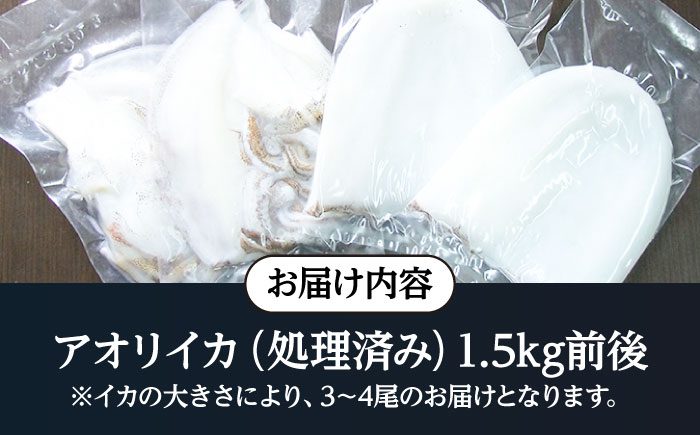 アオリイカ 1,500g前後 《壱岐市》【ヤマグチ】[JCG019] いか あおりいか 32000 32000円