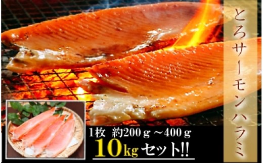D-09006 旨塩！とろサーモンハラミ10kg