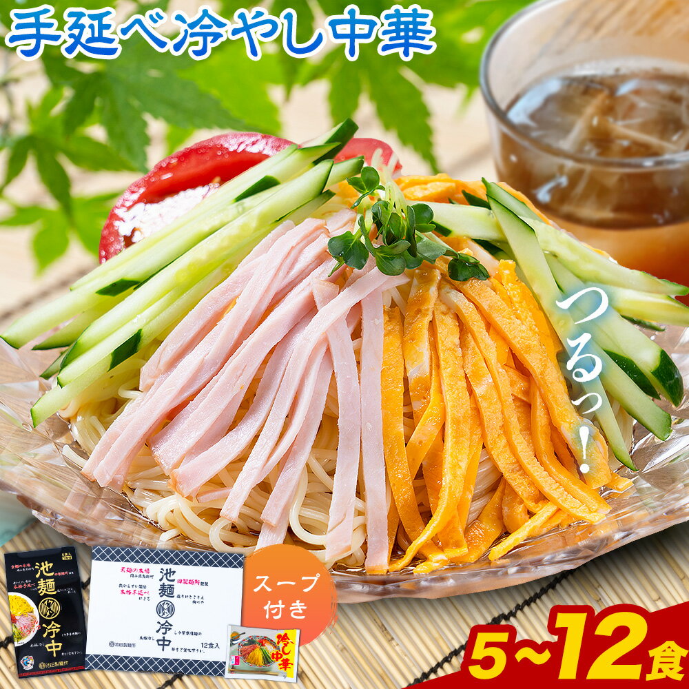 【ふるさと納税】冷やし中華 選べる 内容量 5食セット(麺80g×5束、スープ5袋) 12食セット(麺80g×12束、スープ12袋) スープ付き 池田製麺所《30日以内に出荷予定(土日祝除く)》岡山県 矢掛町 中華麺 手延べ 冷やし中華専用麺 送料無料