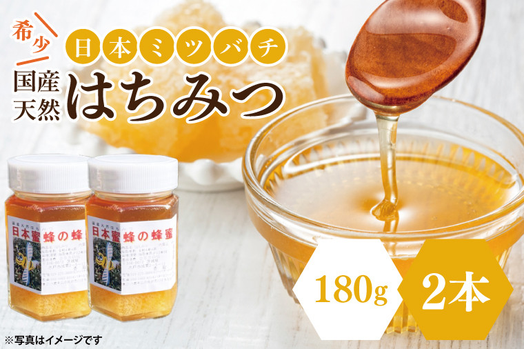 
【先行予約】日本ミツバチの国産天然はちみつ 360g（180g×2本）【希少 数量限定 期間限定 ハチミツ 蜂蜜 国産ハチミツ 非加熱 天然 水戸市 茨城県】(KH-2)
