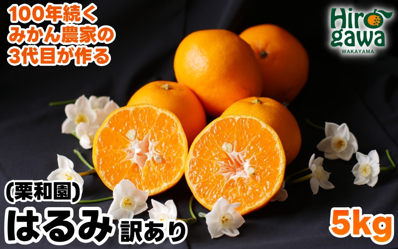 はるみ 5kg 家庭用 / 訳あり 甘い 和歌山 柑橘 ※2027年2月中旬〜3月下旬に順次発送 【krw013-c-5】
