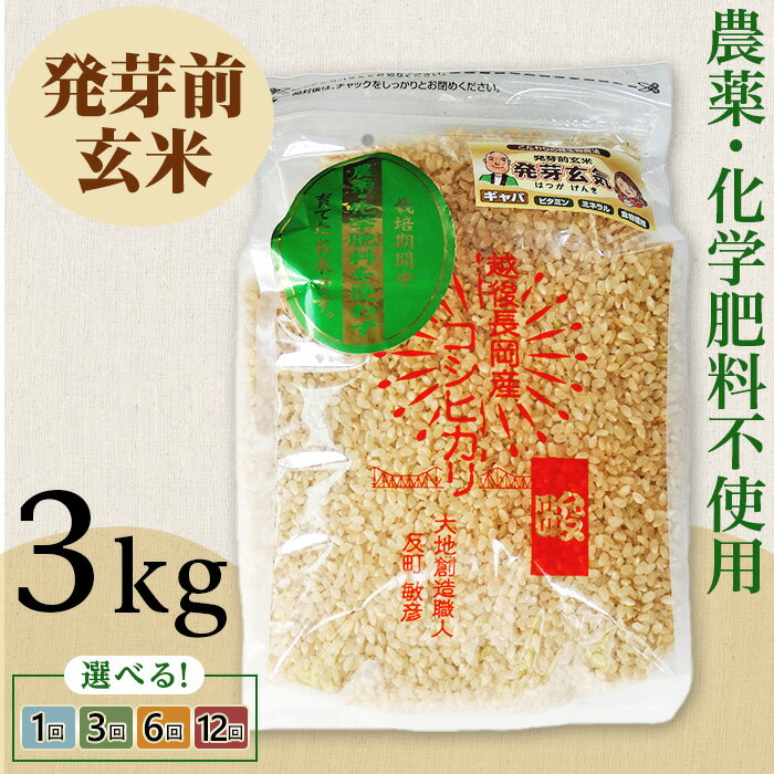 【ふるさと納税】令和7年産 米 玄米 発芽前玄米 3kg 新潟 コシヒカリ 定期便 選べる回数 1回 3回 6回 12回 3ヶ月 6ヶ月 12ヶ月 新潟こしひかり お米 健康 腸活 美容 新潟県産コシヒカリ発芽前玄米（大地創造職人 反町敏彦）